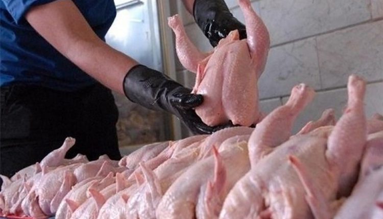 قیمت مرغ