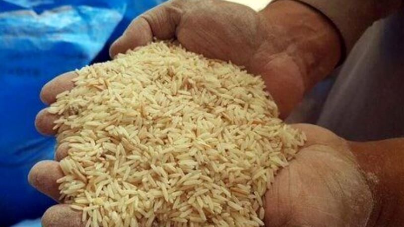 قیمت-برنج-پاکستانی-درجه-یک-کیلویی-چند.