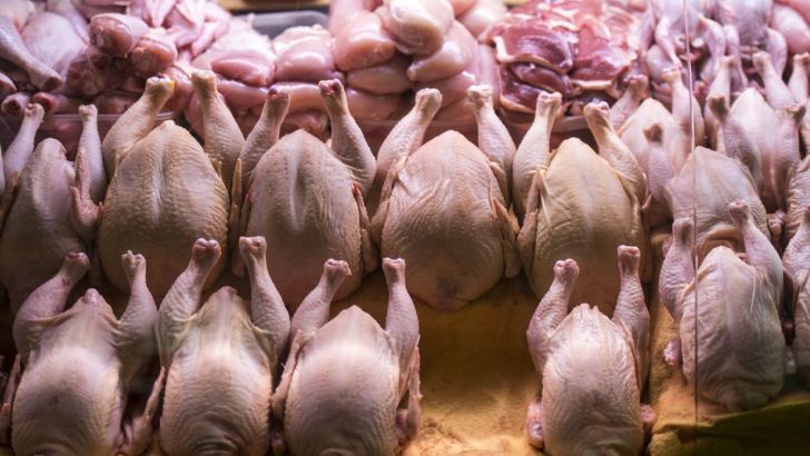 قیمت-گوشت-چرخ-کرده-مرغ-در-بازار-چقدر-است؟