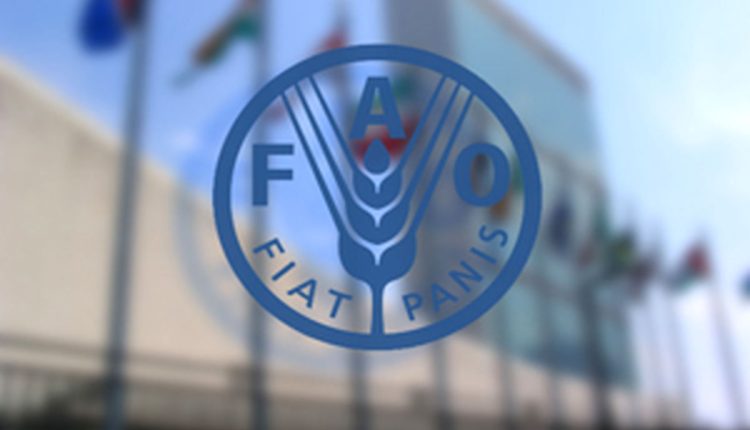کاهش-قیمت-مواد-غذایی
