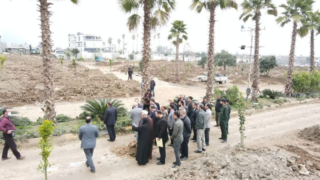 قوه قضائیه