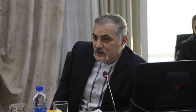امیر نیک رویان