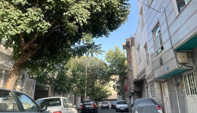 اجاره خانه در محله خاک سفید چند؟ + جدول قیمت