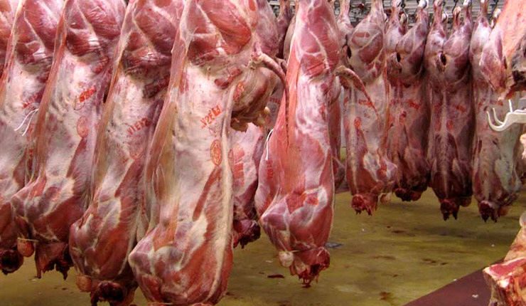 قیمت-گوشت-گوسفندی-چند؟-جدول