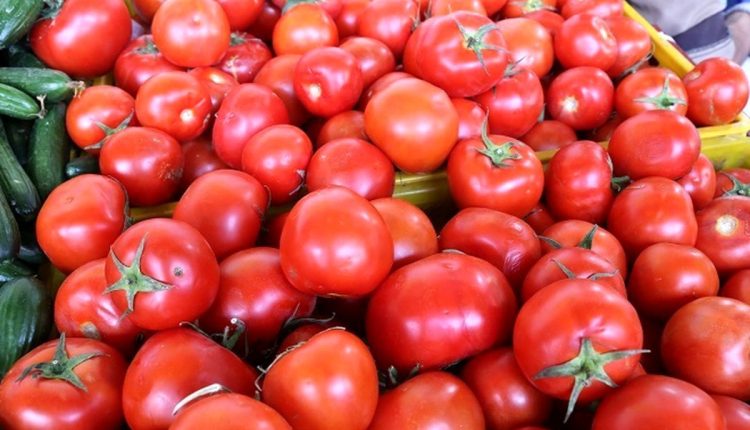 خواص معجره آسای گوجه فرنگی پخته که از آن بی خبرید