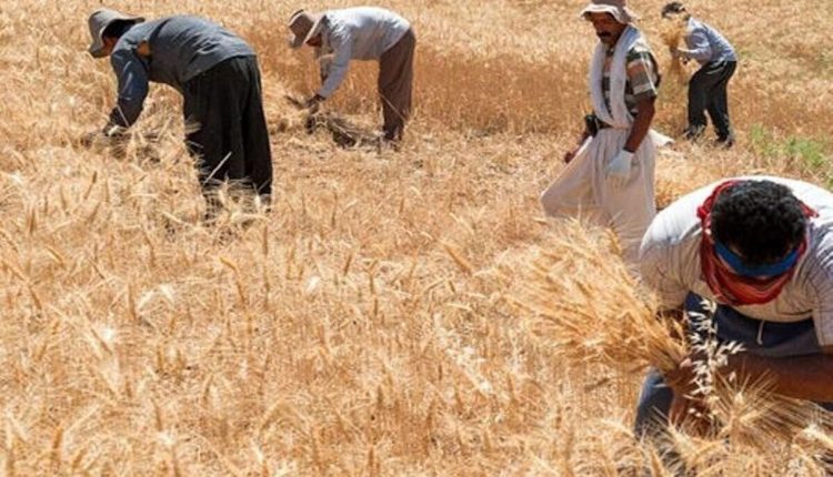 نرخ-خرید-تضمینی-۶-کالای-اساسی-اعلام-شد