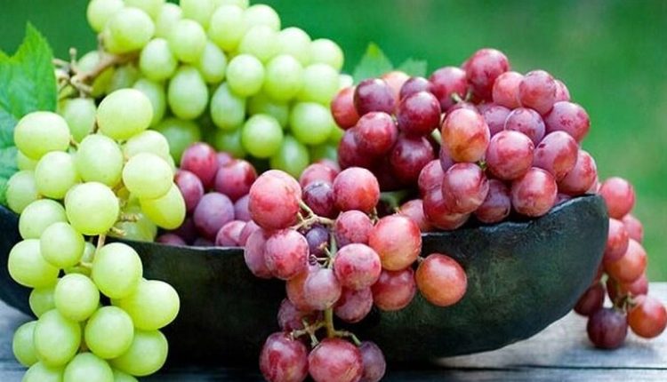 میوه ای که اثرات منفی تغذیه ناسالم را کاهش می_دهد.