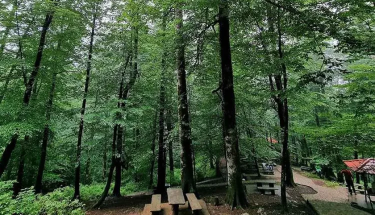 راهنمای سفر یک روزه به نمک آبرود