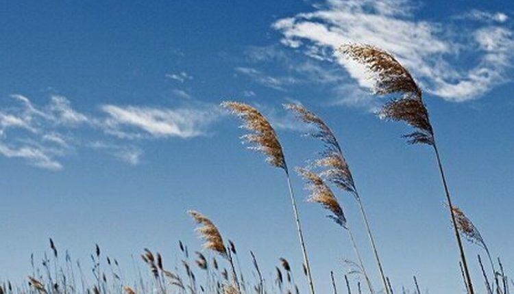 دما افزایش می_یابدهواشناسی ۱۸ فروردین زنجان