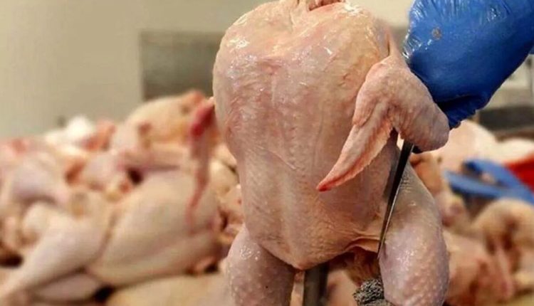 قیمت-گوشت-مرغ-امروز-۴-اردیبهشت-۱۴۰۴