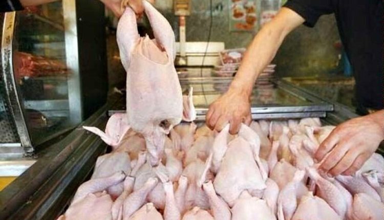 قیمت-گوشت-مرغ-امروز-۱۸-خرداد-۱۴۰۴-قیمت-فیله-مرغ-چند-شد؟