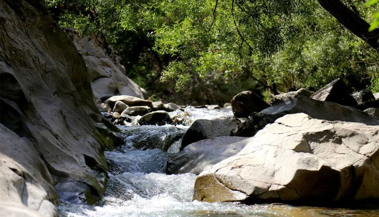 راهنمای-سفر-یک-روزه-به-چال-ماهی.jpg