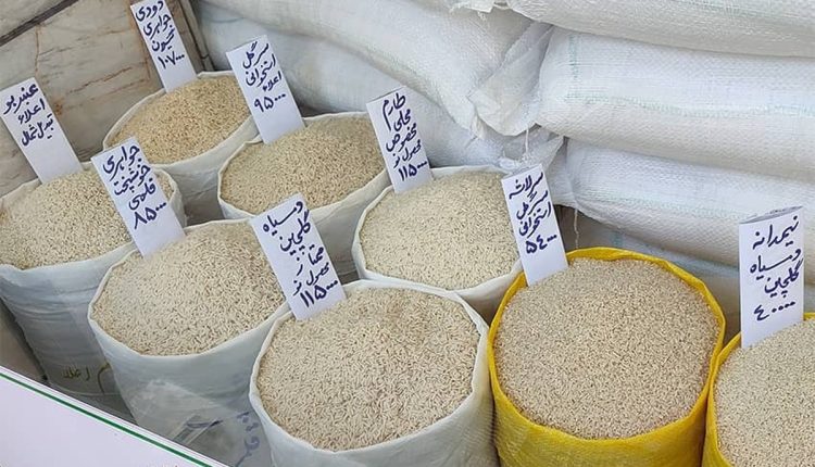 کاهش-شدید-قیمت-برنج-ایرانی-در-میادین.