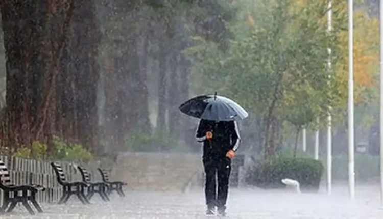 بارش-باران-در-نوارشمالی-و-رگبار-در-جنوب-کشور