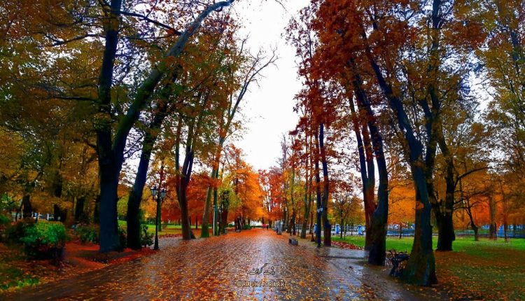 خوش آب و هوا ترین شهرهای ایران برای سفر پاییزی.