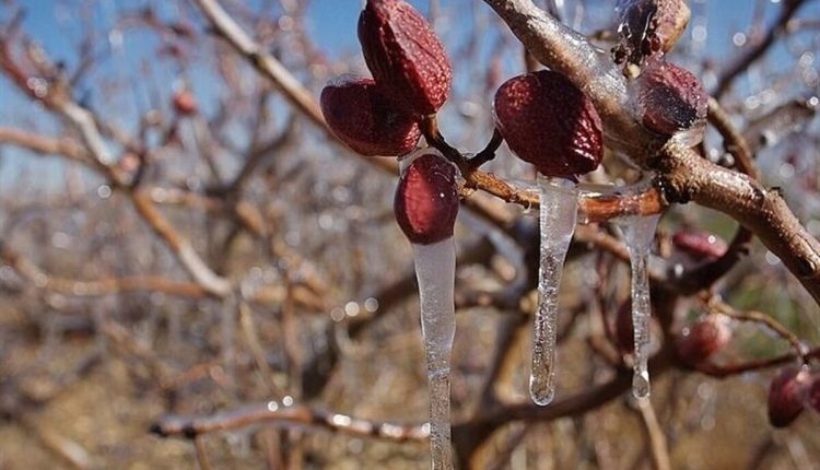 هواشناسی-ایران-امروز-یکشنبه-۱۳-مهرماه-۱۴۰۴.