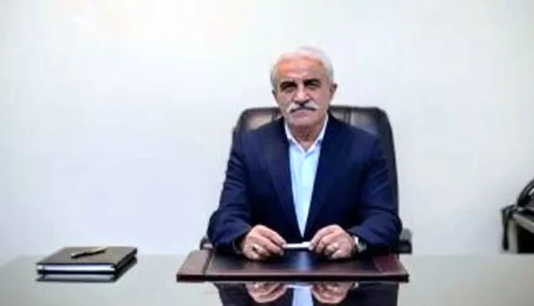امینی نوا