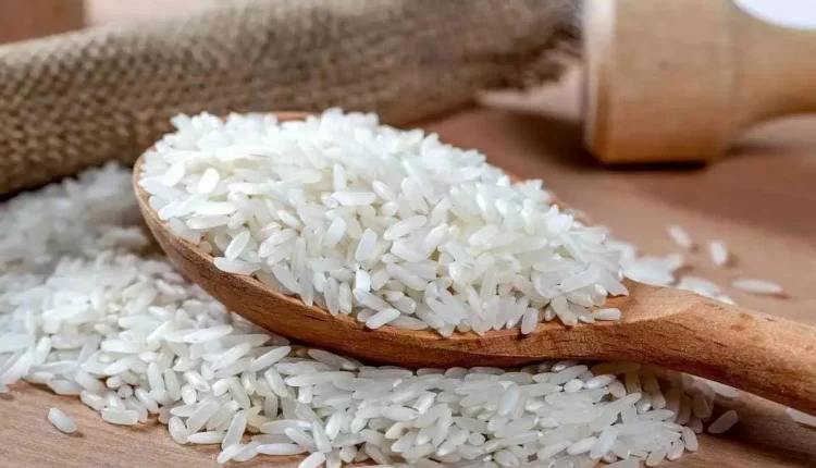 قیمت-ببرنج.webp