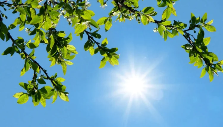 گرمای-هوا-تا-اواخر-هفته-تداوم-دارد.webp
