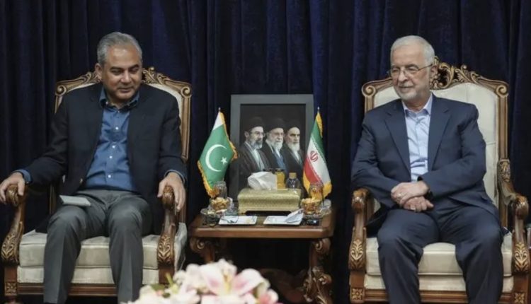 دیدار وزیر کشور با وزیر کشور پاکستان