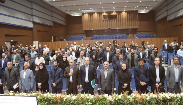 بیمه دی