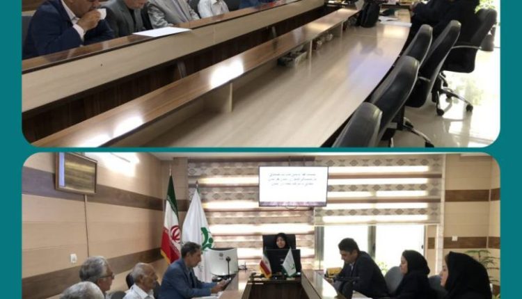نشست بیمه دی