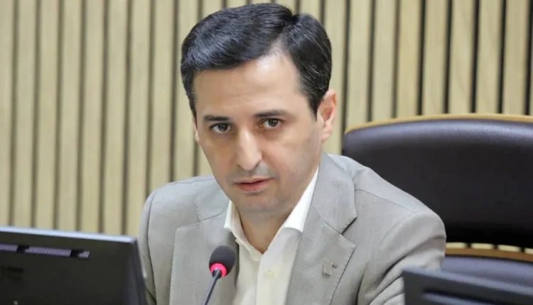 دهقانی