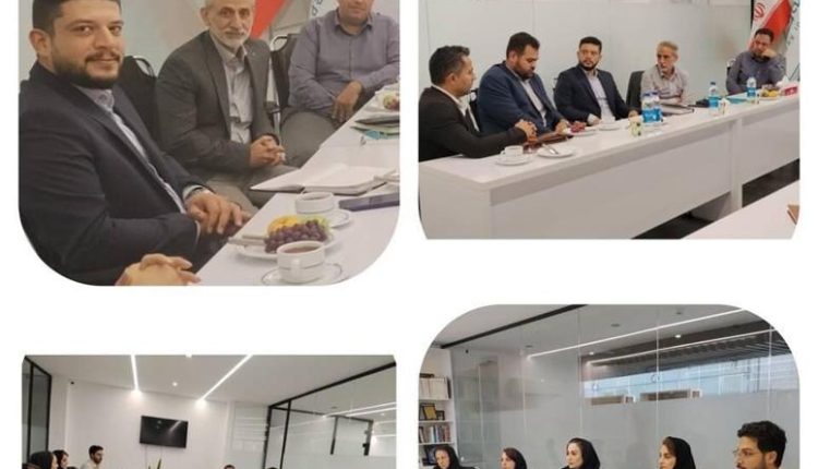 بیمه دی